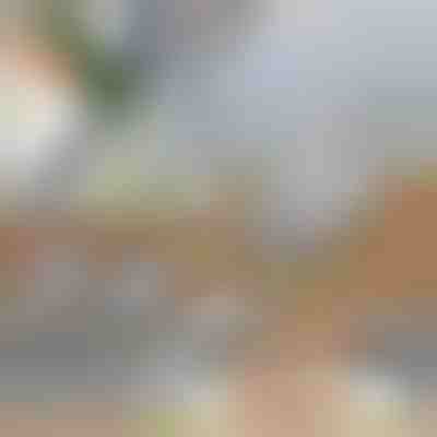 Kopësht multifunksional për perime | SLICEIEST (4 Thika FALAS)